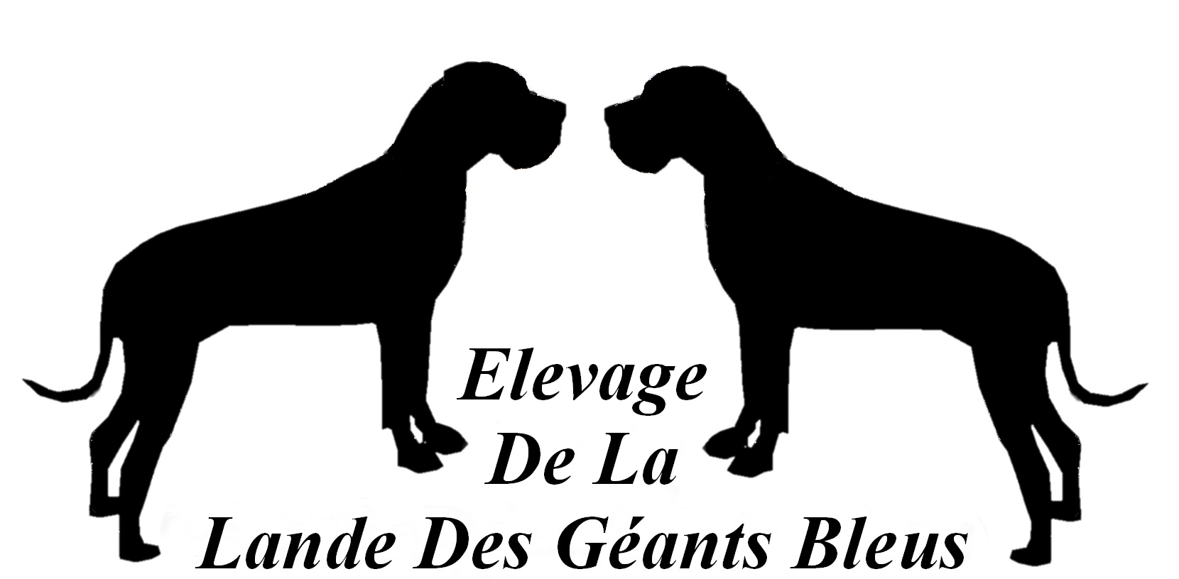 La Lande Des Géants Bleus